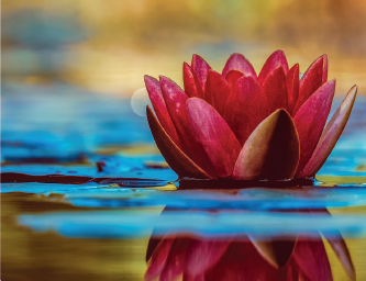 Mind, Body & Spirit Fayre