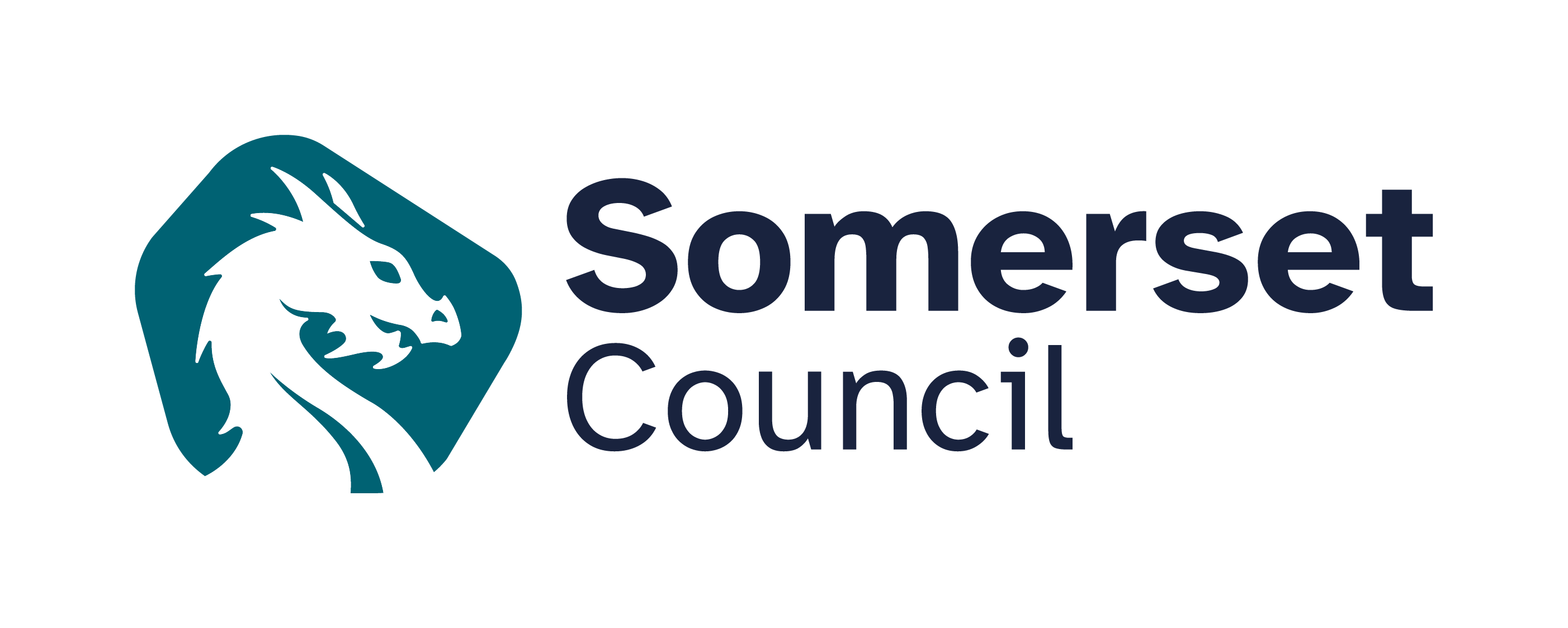 Somerset Council image