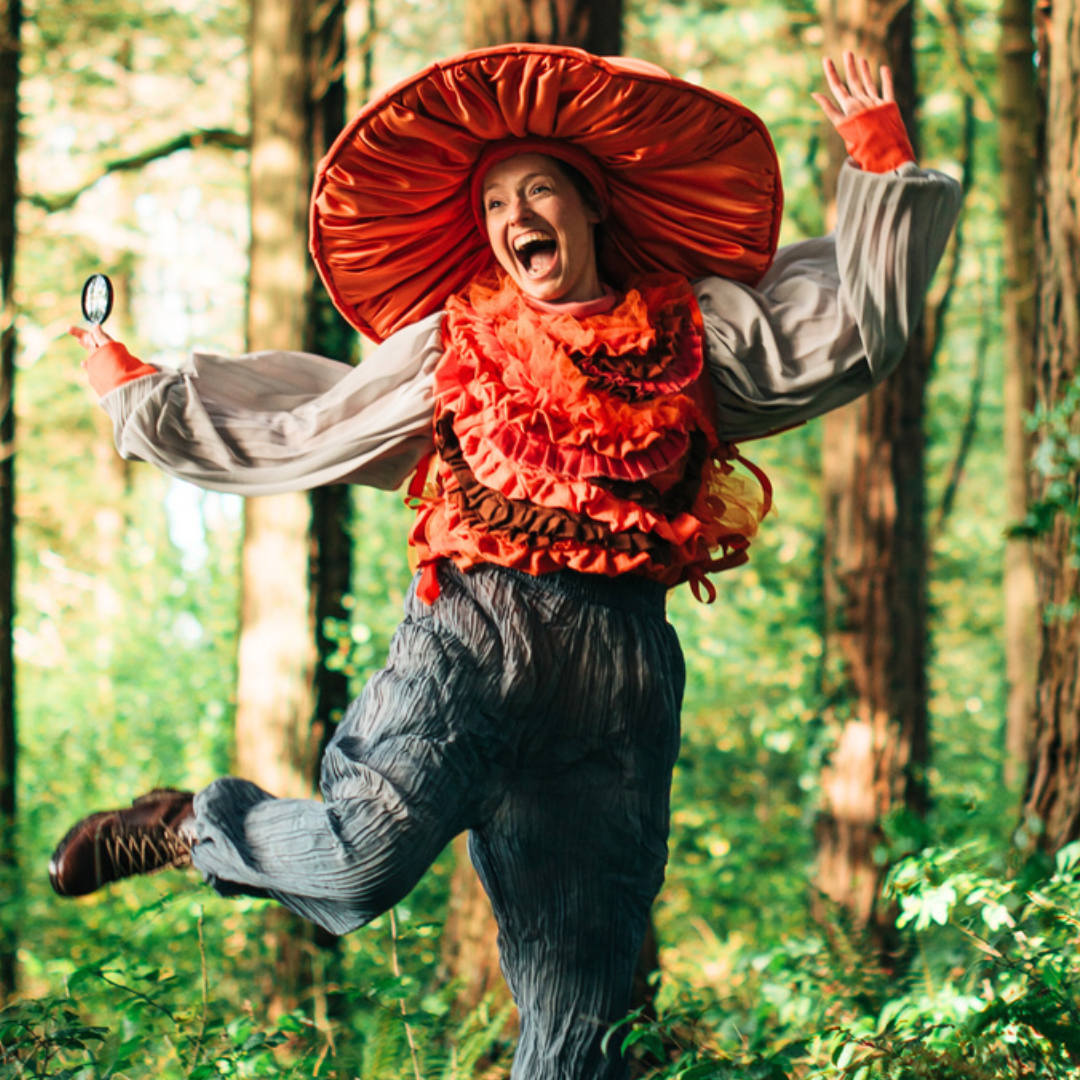 The Mushroom Show image