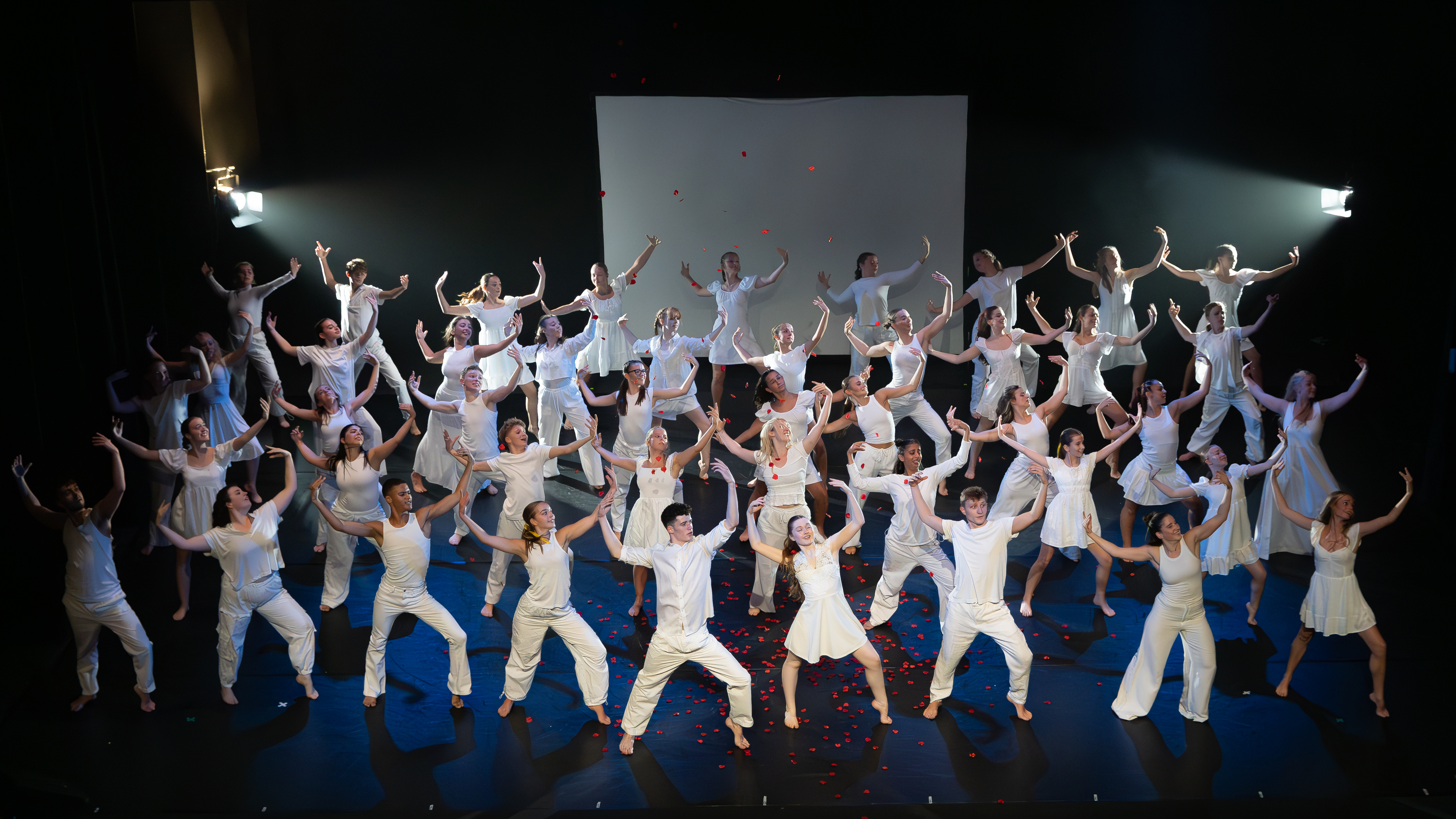 Experience the spotlight image