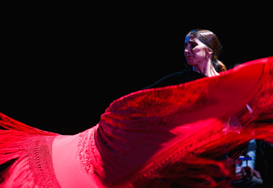 Go on a mesmersing and powerful journey into the roots of traditional Flamenco.