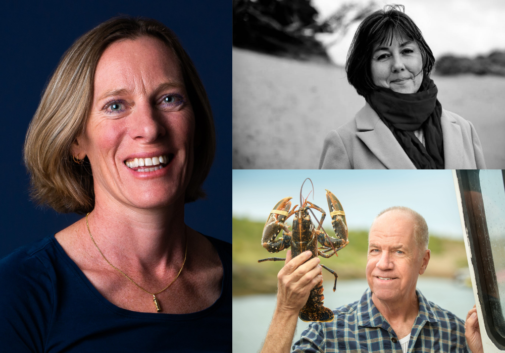 Three Faces of Crime