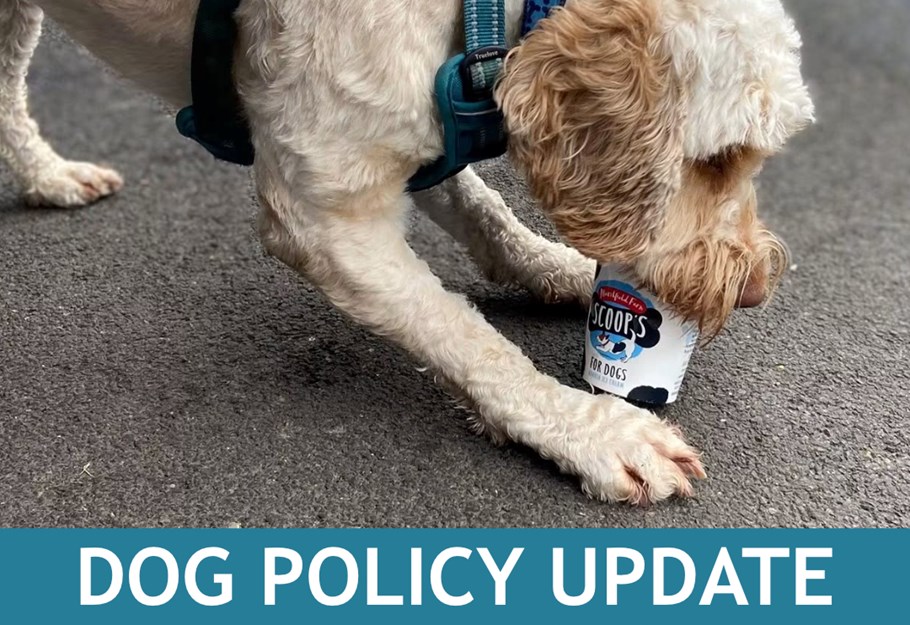 Bringing Your Dog to Our Venue: Our Dog Policy