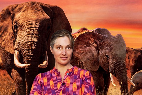 Saba Douglas-Hamilton: In The Footsteps of Elephants